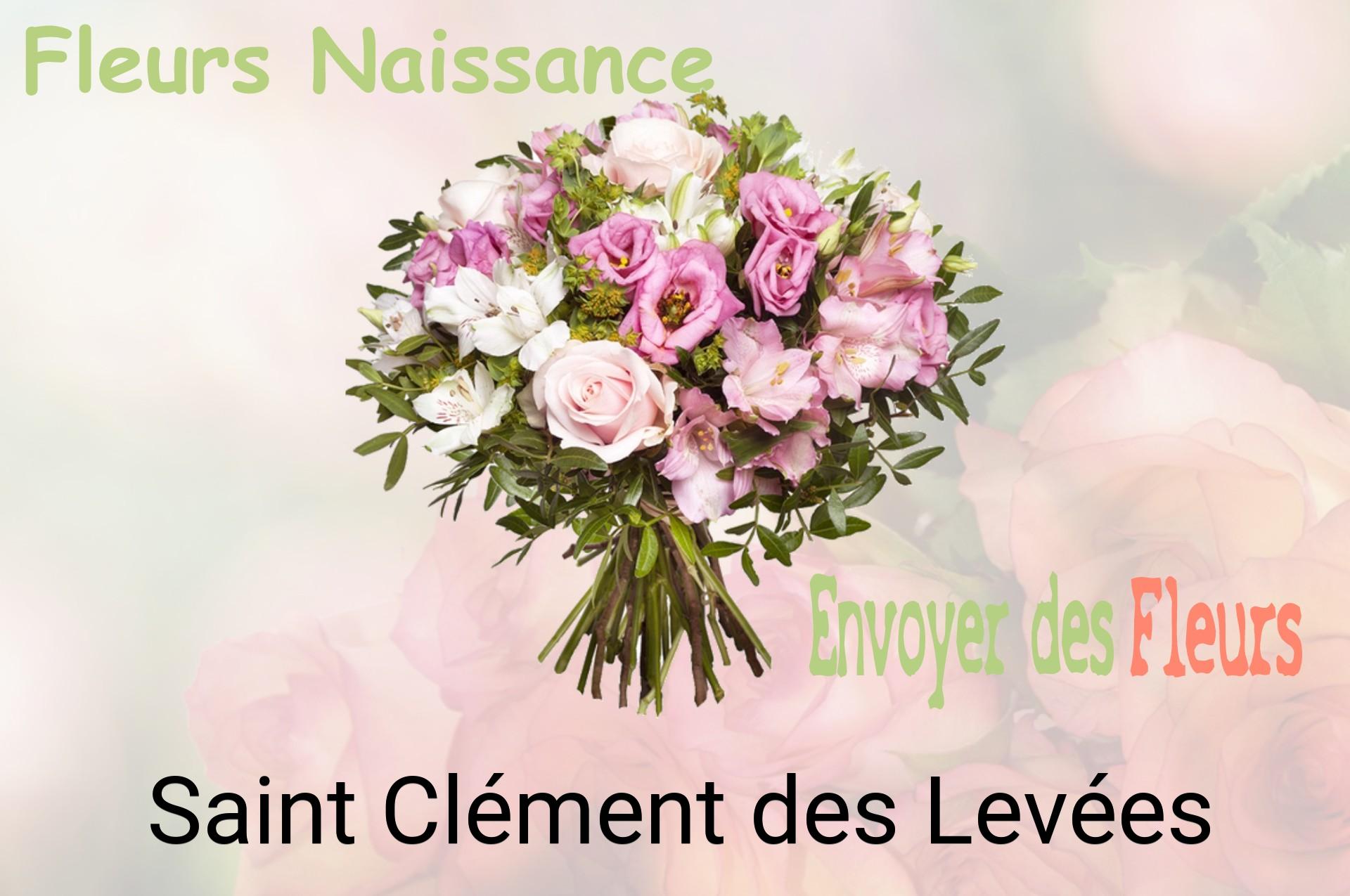 Bouquet de fleurs de naissance livré à Saint-Clément-des-Levées