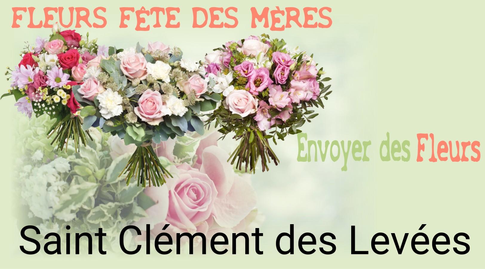 Bouquet de Fête des Mères livré à Saint-Clément-des-Levées